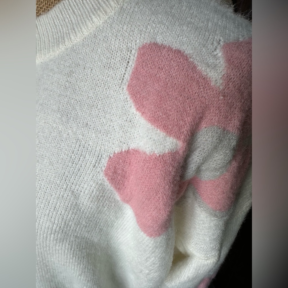 BiBi Pink an Gray Colored Daisy Flower Sweater in Cream - Picture 5 of 12